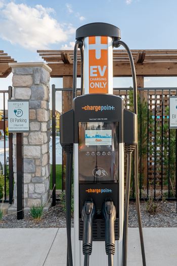 Community ev charging station